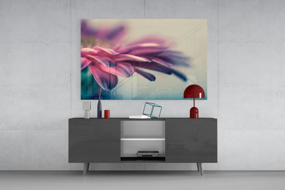Soft Pink Gerbera Petals Glass Wall Art