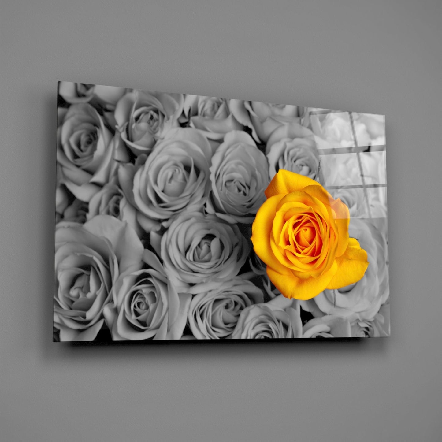 Vivid Yellow Rose Gray Roses Glass Wall Art