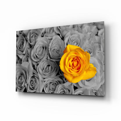 Vivid Yellow Rose Gray Roses Glass Wall Art