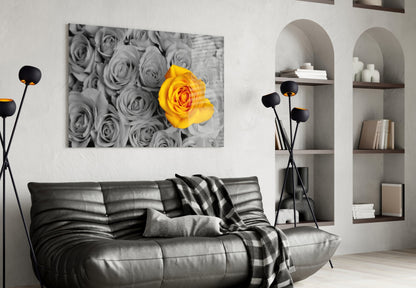 Vivid Yellow Rose Gray Roses Glass Wall Art
