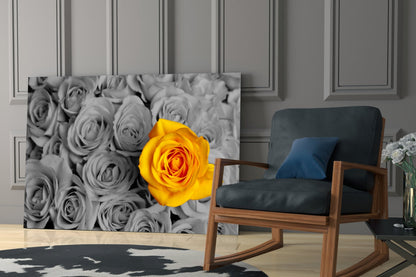 Vivid Yellow Rose Gray Roses Glass Wall Art