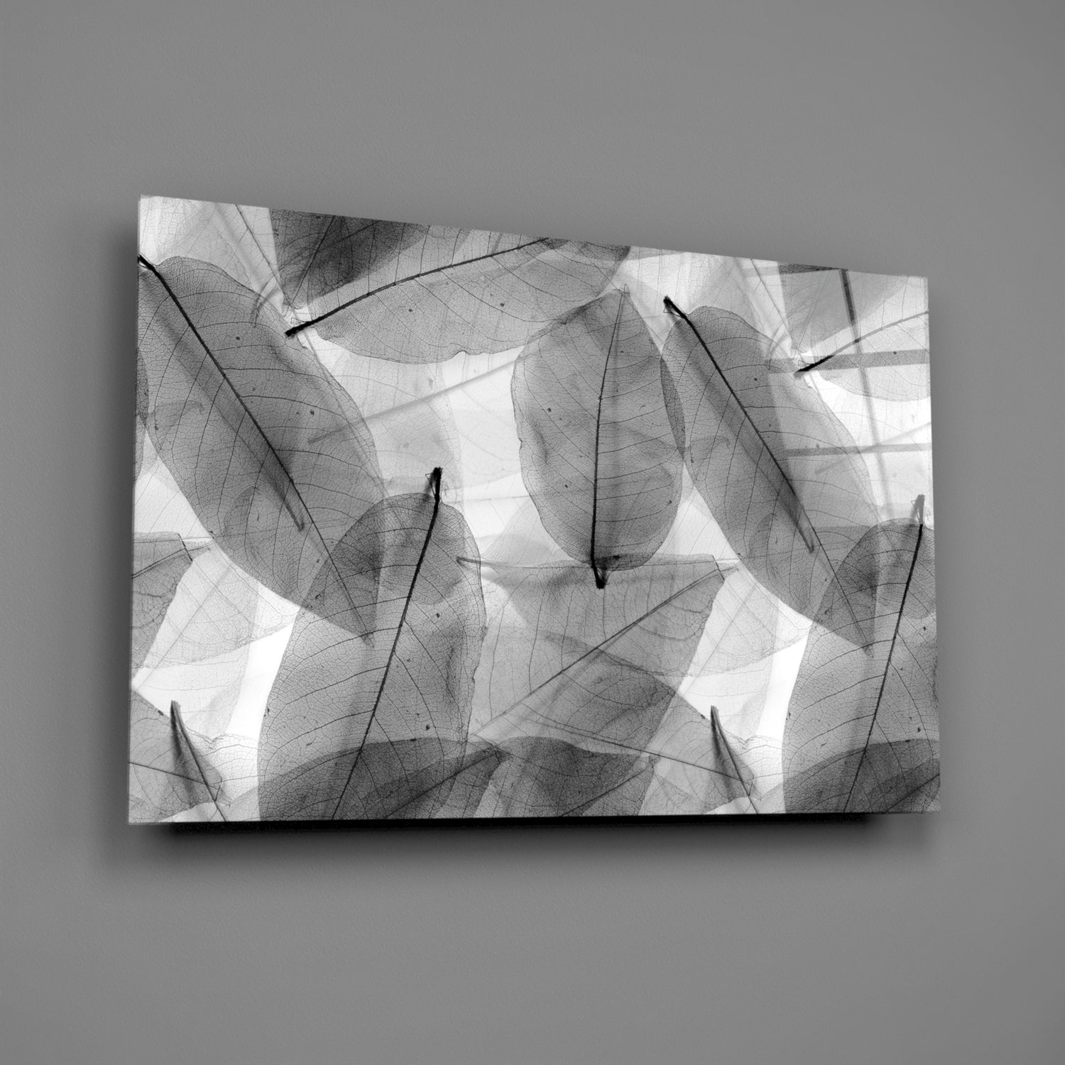 Horizontal rectangular glass wall art displaying translucent grayscale leaf patterns with dark veins against white background, mounted on gray wall.