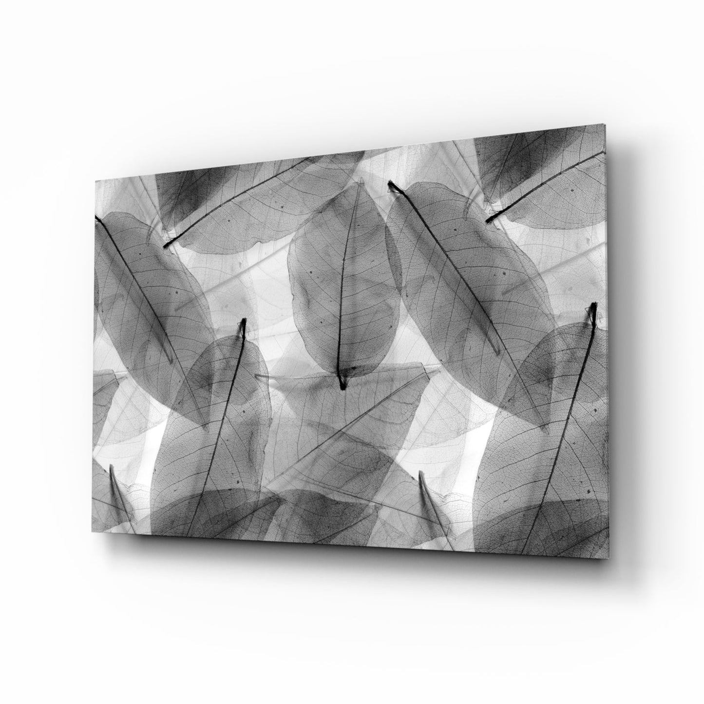 Black and white translucent leaf glass panel displayed at an angle, showing overlapping skeletal leaves with visible veining against a bright background.