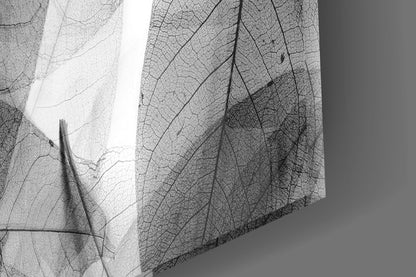 Translucent glass panels with detailed black leaf vein patterns backlit against bright white background, showing layered depth and texture.