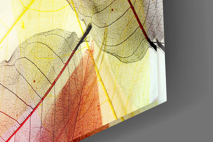 Backlit Sheer Autumn Leaf Layers Glass Wall Art