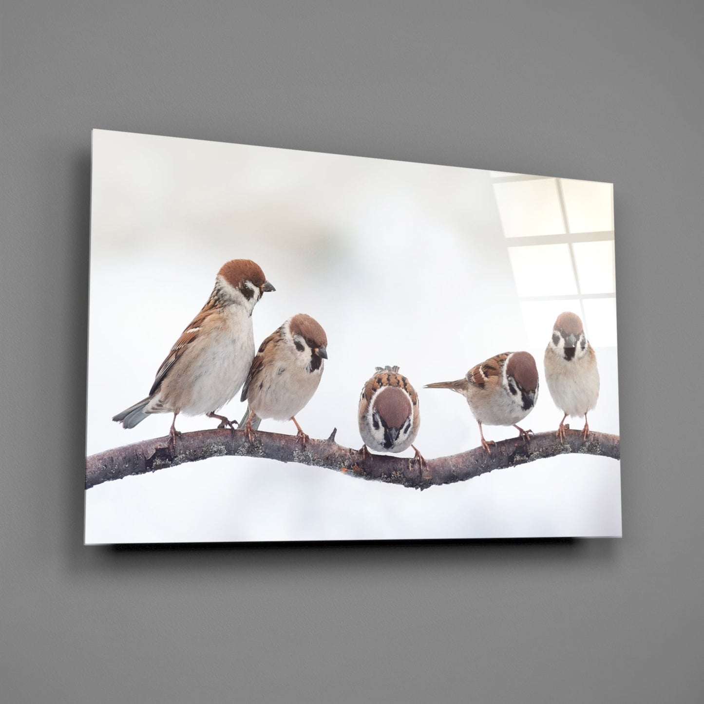 Five Sparrows Perched On Branch Glass Wall Art