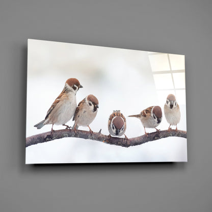 Five Sparrows Perched On Branch Glass Wall Art