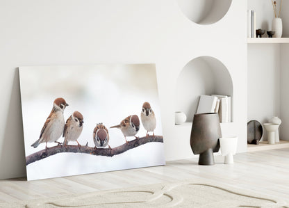 Five Sparrows Perched On Branch Glass Wall Art