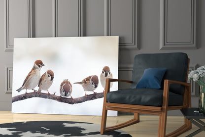 Five Sparrows Perched On Branch Glass Wall Art