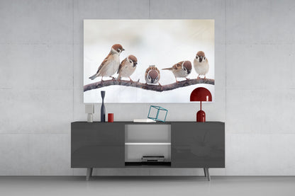 Five Sparrows Perched On Branch Glass Wall Art