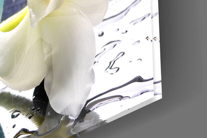 Spa Candle Orchid And Stones Glass Wall Art