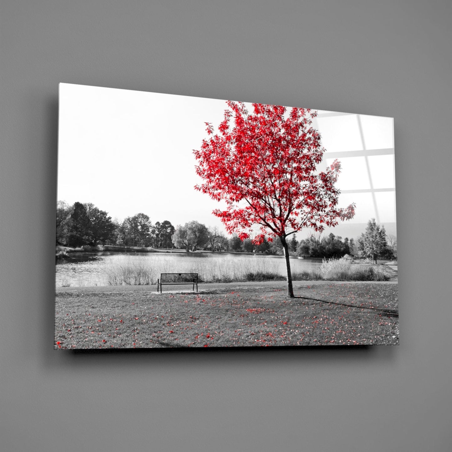 Lone Red Tree Bench Glass Wall Art