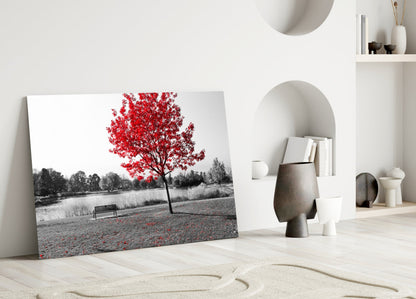 Lone Red Tree Bench Glass Wall Art