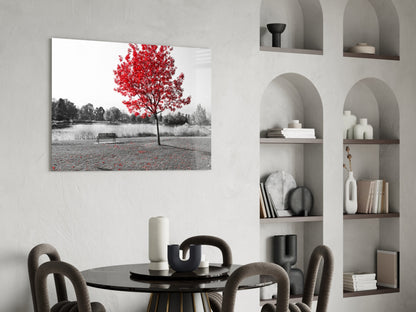 Lone Red Tree Bench Glass Wall Art