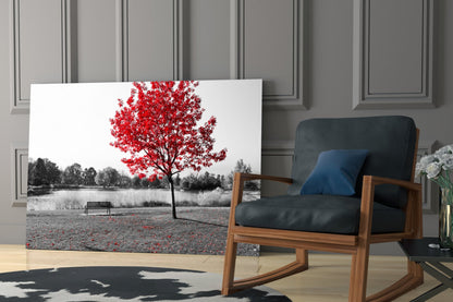 Lone Red Tree Bench Glass Wall Art