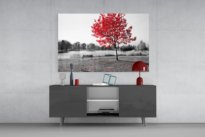 Lone Red Tree Bench Glass Wall Art