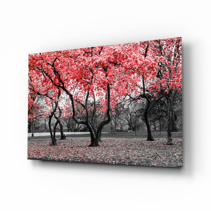 Crimson Autumn Park Trees Glass Wall Art