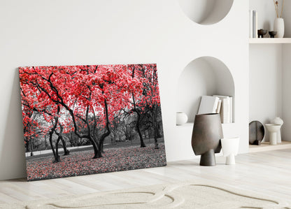 Crimson Autumn Park Trees Glass Wall Art