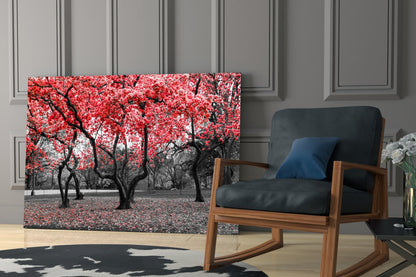 Crimson Autumn Park Trees Glass Wall Art