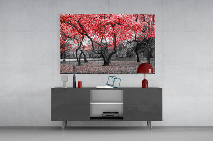 Crimson Autumn Park Trees Glass Wall Art