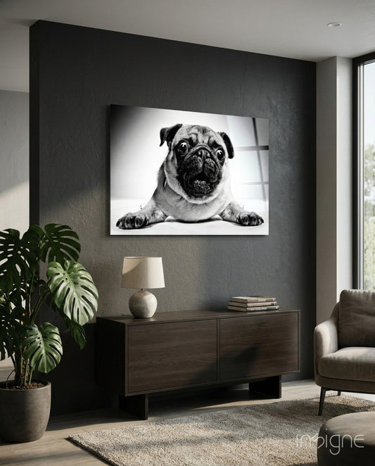 Black and white pug portrait in white-framed glass art hanging on dark charcoal wall above wooden dresser.