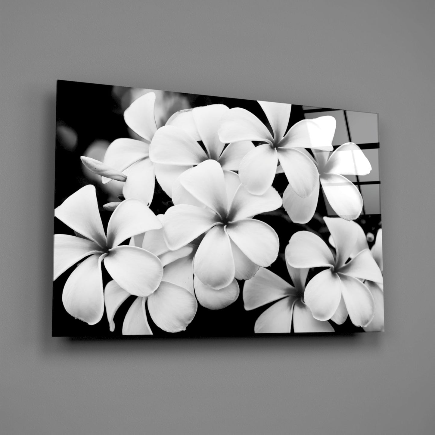 Monochrome Plumeria Cluster Glass Wall Art