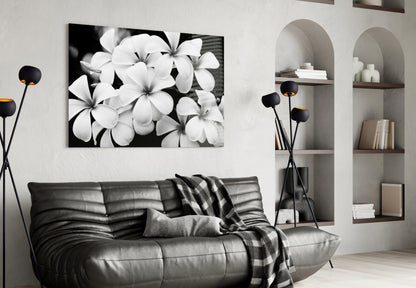 Monochrome Plumeria Cluster Glass Wall Art
