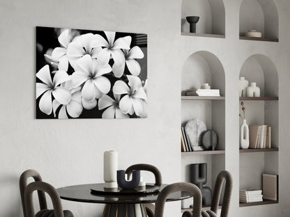 Monochrome Plumeria Cluster Glass Wall Art