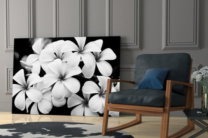 Monochrome Plumeria Cluster Glass Wall Art