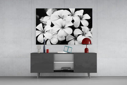 Monochrome Plumeria Cluster Glass Wall Art