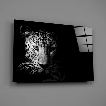 Leopard Face In Shadow Glass Wall Art