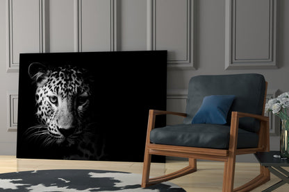 Leopard Face In Shadow Glass Wall Art
