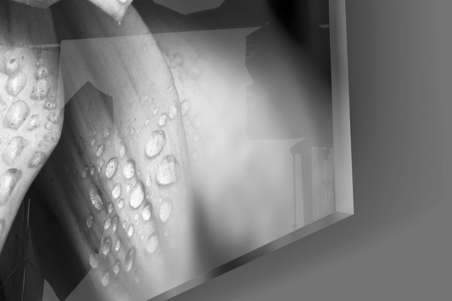 Dewy Gray Dahlia Macro Glass Wall Art