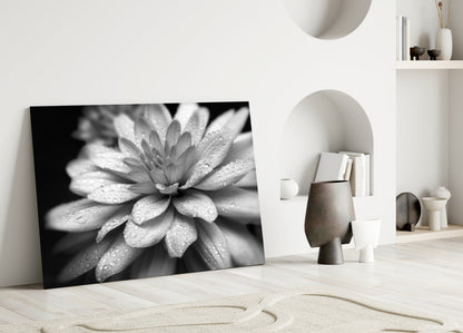 Dewy Gray Dahlia Macro Glass Wall Art