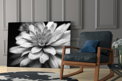 Dewy Gray Dahlia Macro Glass Wall Art