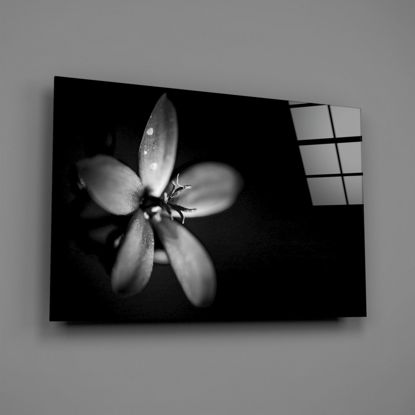 Dark Moody Dewdrop Flower Glass Wall Art