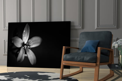 Dark Moody Dewdrop Flower Glass Wall Art