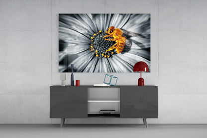 Honey bee glass wall art displayed above a dark gray media console, showing a bee on a white and gray daisy with yellow center against white wall.