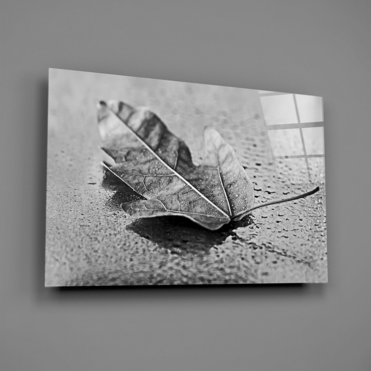 Curled Dry Leaf Monochrome Glass Wall Art