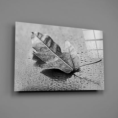 Curled Dry Leaf Monochrome Glass Wall Art