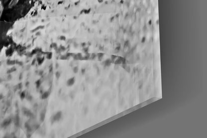 Curled Dry Leaf Monochrome Glass Wall Art