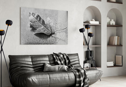 Curled Dry Leaf Monochrome Glass Wall Art