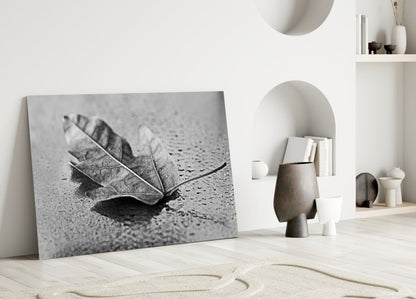 Curled Dry Leaf Monochrome Glass Wall Art