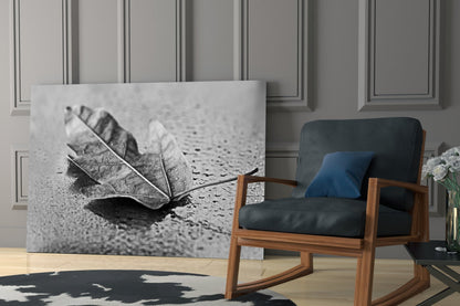 Curled Dry Leaf Monochrome Glass Wall Art