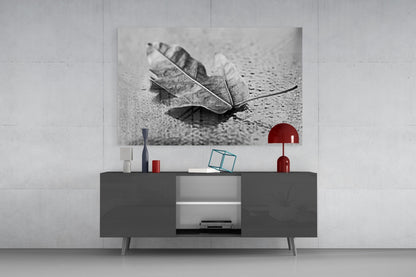 Curled Dry Leaf Monochrome Glass Wall Art