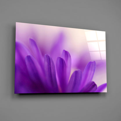 Soft Purple Daisy Petals Glass Wall Art