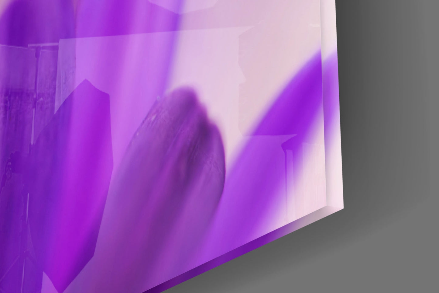 Soft Purple Daisy Petals Glass Wall Art