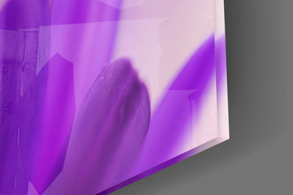Soft Purple Daisy Petals Glass Wall Art