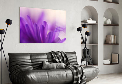 Soft Purple Daisy Petals Glass Wall Art