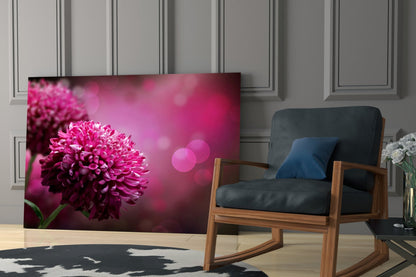 Magenta Pompom Dahlia Glass Wall Art